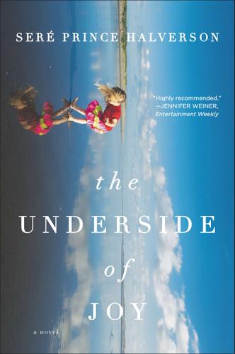 Cover image for The Underside of Joy