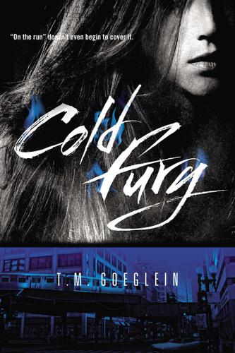 Cover image for Cold Fury