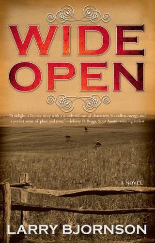 Cover image for Wide Open