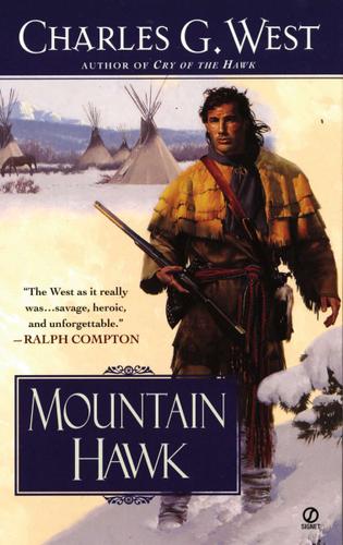 Cover image for Mountain Hawk
