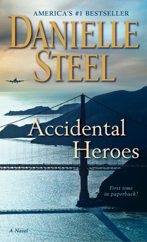 Cover image for Accidental Heroes
