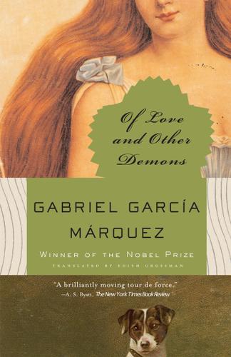 Cover image for Of Love and Other Demons