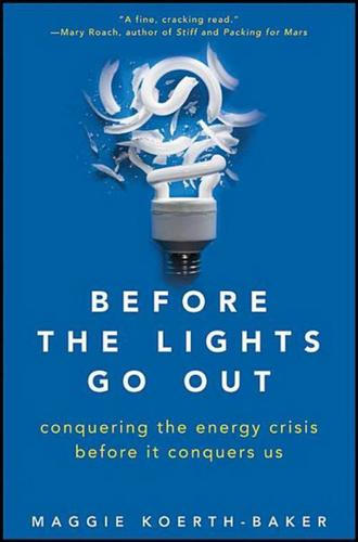 Cover image for Before the Lights Go Out