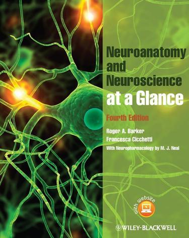 Cover image for Neuroanatomy and Neuroscience at a Glance