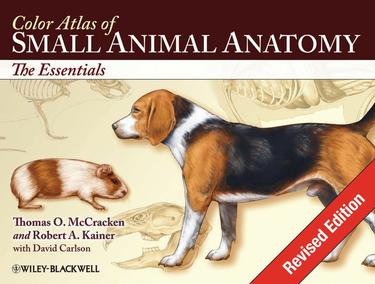 Color Atlas of Small Animal Anatomy
