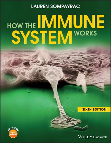 Cover image for How the Immune System Works