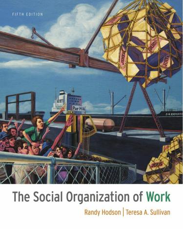 The Social Organization of Work