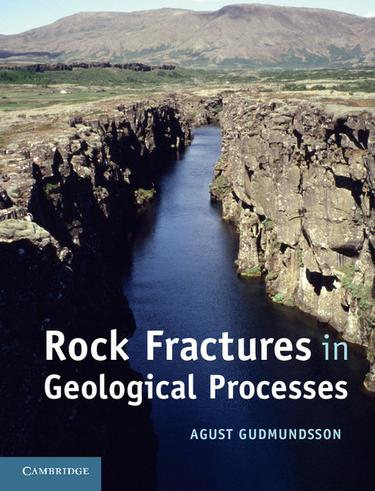 Cover image for Rock Fractures in Geological Processes