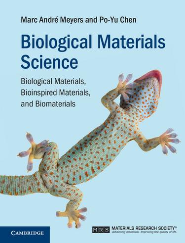 Cover image for Biological Materials Science