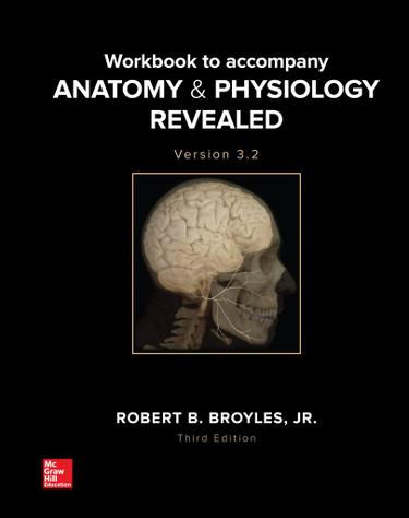 Cover image for Workbook to accompany Anatomy & Physiology Revealed Version 3.2