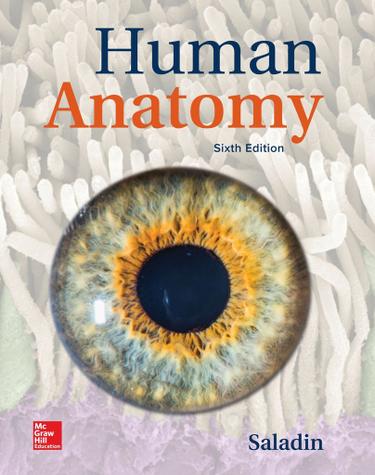 Cover image for Human Anatomy: 2024 Release