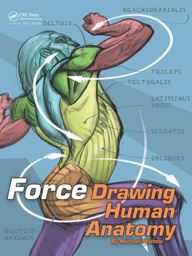Cover image for FORCE: Drawing Human Anatomy