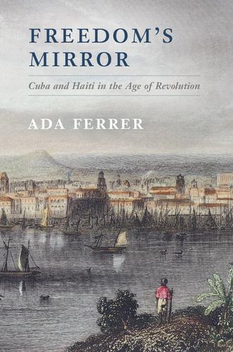 Cover image for Freedom's Mirror