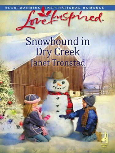Cover image for Snowbound in Dry Creek