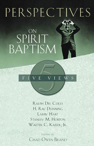 Cover image for Perspectives on Spirit Baptism