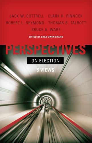Cover image for Perspectives on Election