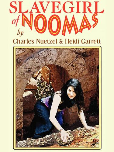 Cover image for Slavegirl of Noomas