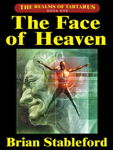 Cover image for The Face of Heaven