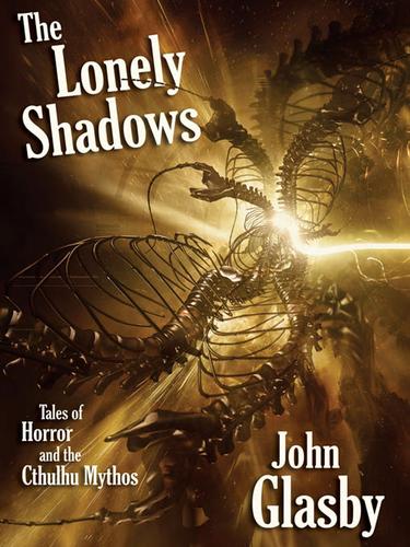 Cover image for The Lonely Shadows