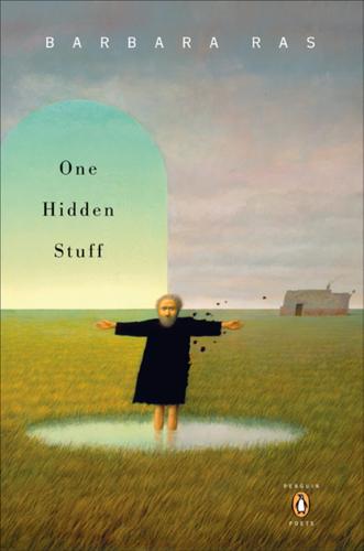 Cover image for One Hidden Stuff