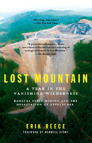 Cover image for Lost Mountain