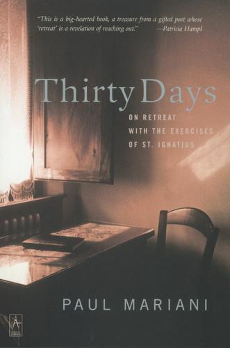 Cover image for Thirty Days