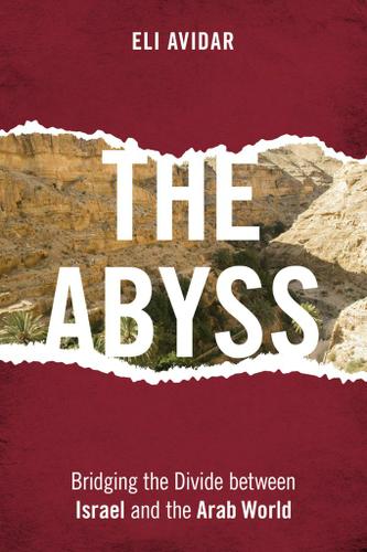 Cover image for The Abyss