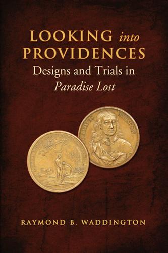 Cover image for Looking Into Providences