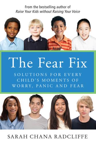 Cover image for The Fear Fix