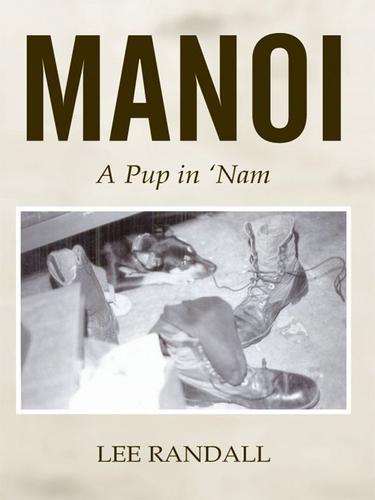 Cover image for Manoi