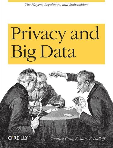 Cover image for Privacy and Big Data