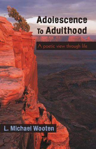 Cover image for Adolescence to Adulthood