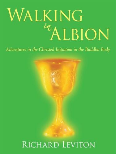 Cover image for Walking in Albion