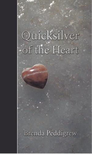 Cover image for Quicksilver of the Heart
