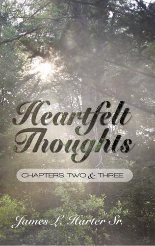 Cover image for Heartfelt Thoughts: Chapters Two and Three