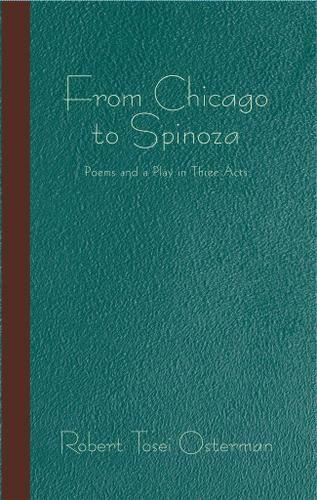 Cover image for From Chicago to Spinoza