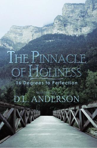 Cover image for The Pinnacle of Holiness