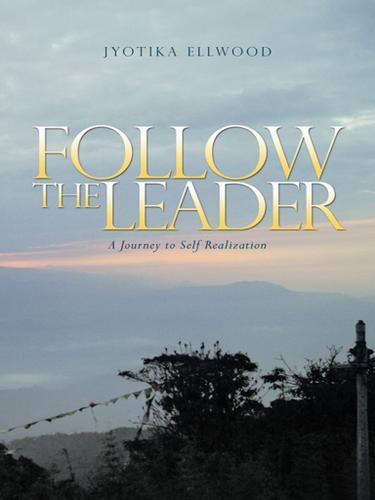 Cover image for Follow the Leader