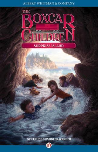 Cover image for Surprise Island