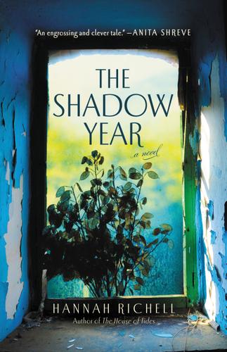 Cover image for The Shadow Year