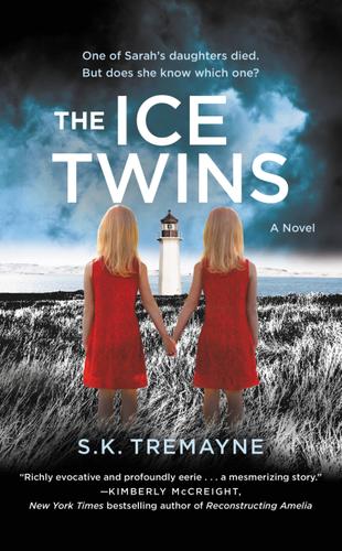 Cover image for The Ice Twins