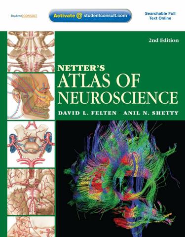 Netter's Atlas of Neuroscience E-Book