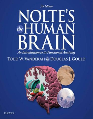 Nolte’s The Human Brain E-Book