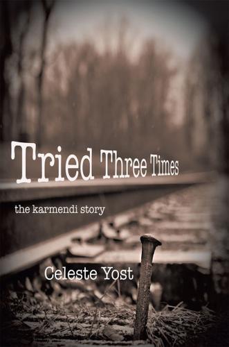 Cover image for Tried Three Times