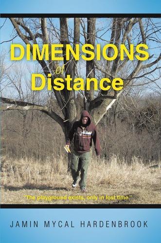 Cover image for Dimensions of Distance