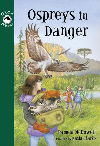 Cover image for Ospreys in Danger