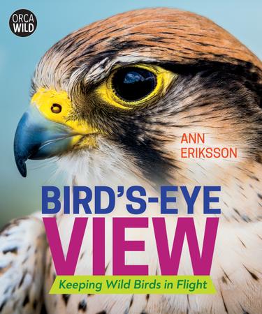 Cover image for Bird's-Eye View