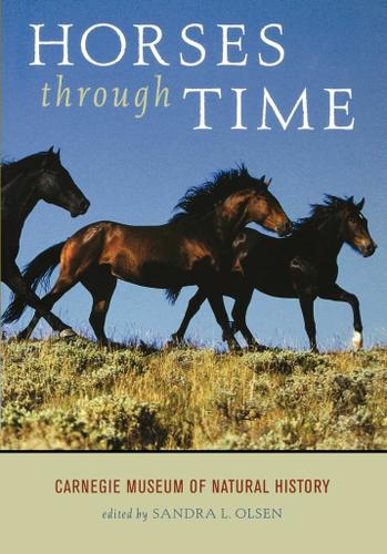 Cover image for Horses through Time