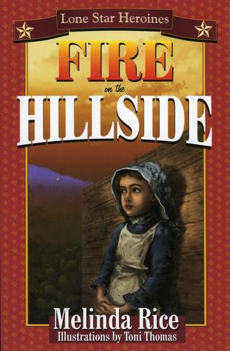 Cover image for Fire on the Hillside