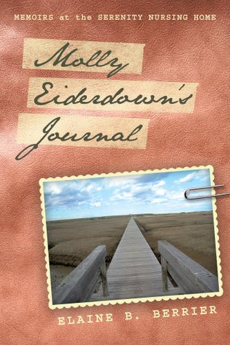 Cover image for Molly EiderdownS Journal